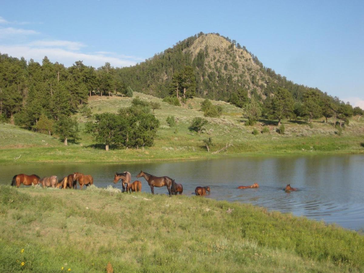 Lake Guest Ranch Villa Devils Tower Dış mekan fotoğraf